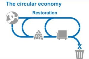 The circular economy